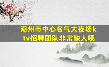 潮州市中心名气大夜场ktv招聘团队非常缺人哦